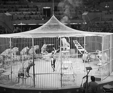 880360 Afbeelding van een optreden van een dompteur met leeuwen en sint-bernardshonden in een kooi in het Muziekcentrum ...